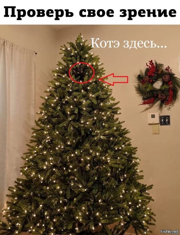 ...
а он есть.