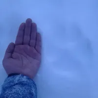 это больше на собачий след похоже