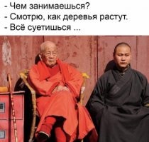 Лес на футбольном стадионе? Как такое может быть?