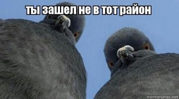 Просто симпатичные девушки