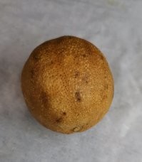 На работе, в шкафу уже три года лежит лимон. Высох полностью, на поверхности стола скачет как мячик от пинг-понга.