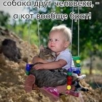 25 смешных фото и мемов с котейками