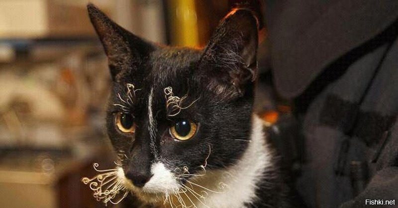 Солянка от 24.12.2021