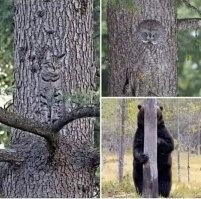 И чтоб никто не догадался