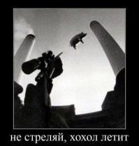 15 раз, когда "сюрпризы" застали людей врасплох