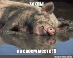 Вот ваши, скрепные, одухотворенные.