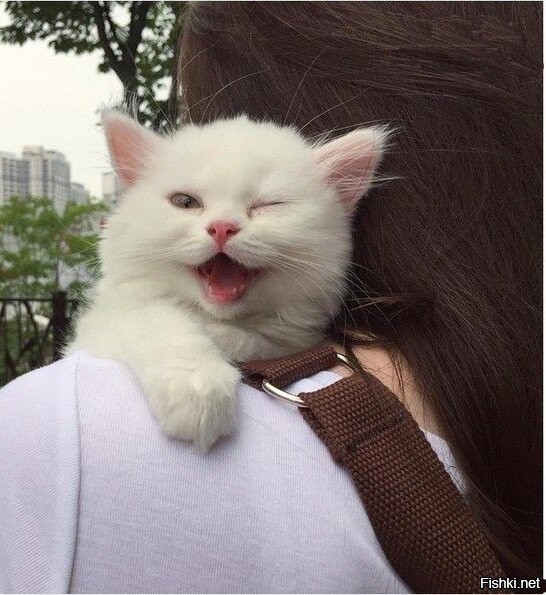 Доброе утро