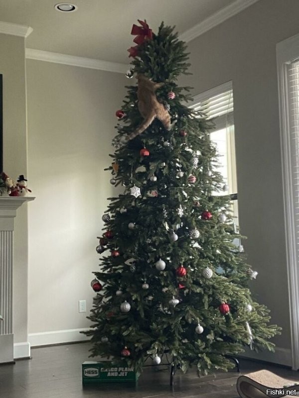 Солянка от 24.12.2021