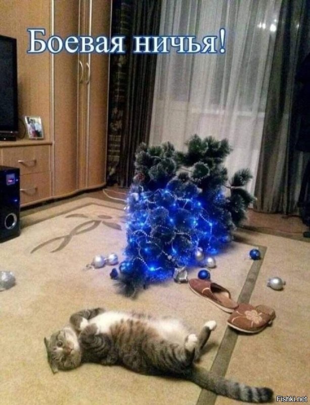 Солянка от 24.12.2021