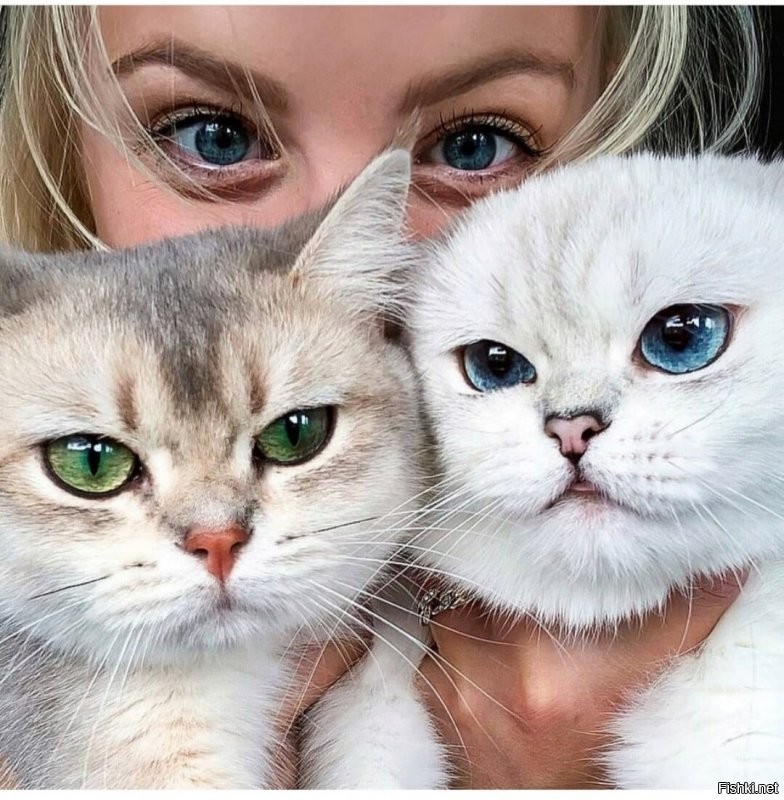 Доброе утро