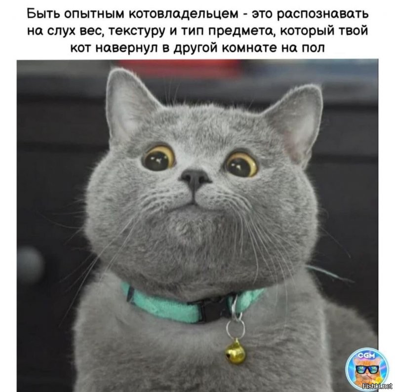 Солянка от 24.12.2021