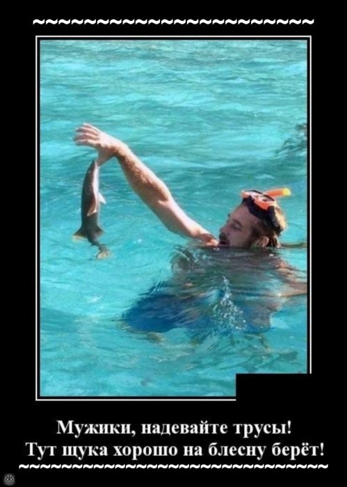 Солянка от 24.12.2021