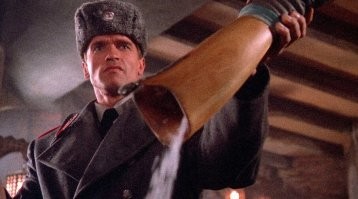 Белый порошок и кружевные трусы: новозеландский котик-клептоман грабит соседей