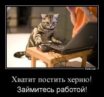 Всё в нашем мире можно условно разделить на два типа