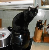 Наши сами себе готовят