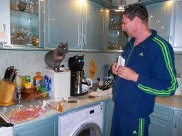 Наши сами себе готовят