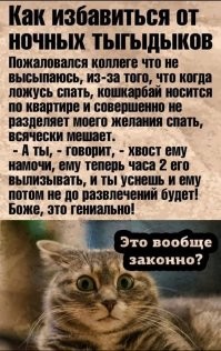 Намочил его всего.
Ровно через полчаса начал снова носиться по квартире.