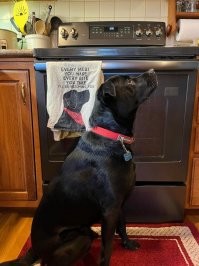 "Надпись на кухонном полотенце: «Я буду наблюдать за каждым блюдом, что ты готовишь, за каждым кусочком, что ты ешь»."
Надо бы объяснить наверное эту фразу. Прикол заключается в том, что это пародия на строки из хита Стинга "Every Breath You Take"