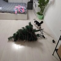 миссия выполнена!