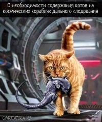 Картинки в чёрно-белых тонах. Выпуск 70