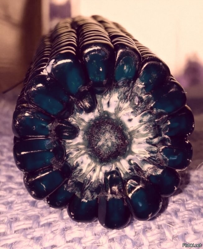 На Донбассе такая..