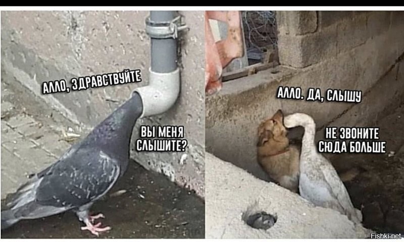 Солянка от 25.12.2021