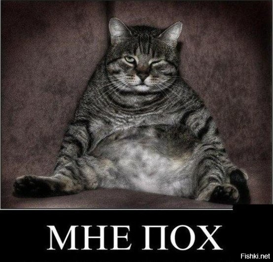 В ленту фотки ног кидали