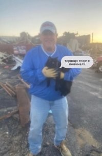 Американец услышал мяуканье под обломками мощного торнадо