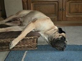 Вот как можно так спать?