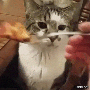 Солянка от 25.12.2021