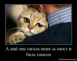 На ночь глядючи в картинках