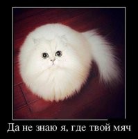 Картинки в чёрно-белых тонах. Выпуск 70