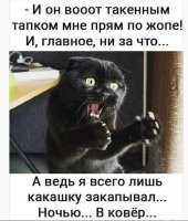 На ночь глядючи в картинках