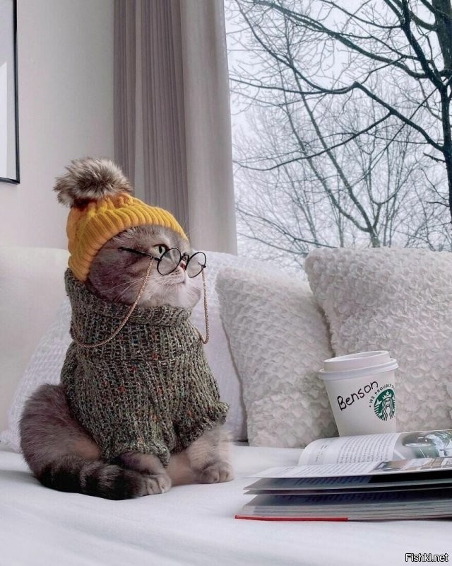 довольно обидны ваши слова, лишь малую толику (кухни)... )