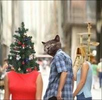 25 смешных фото и мемов с котейками