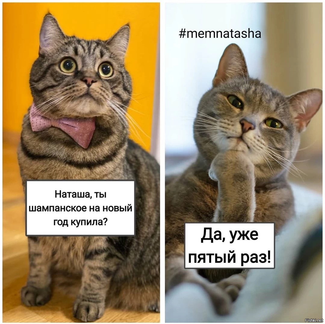 #Memnatasha
