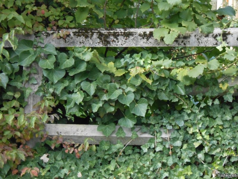 Солянка от 25.12.2021