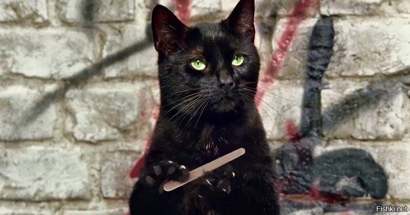 Продолжайте закапывать в тапок. Каждый день, утром, по 10 капель