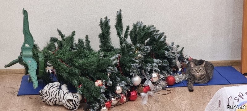 А стоит только отвернуться и вот..