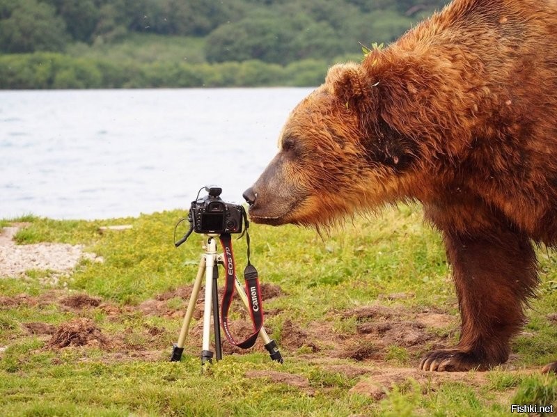 Ну так пойдет фото ..Но в этих фото НЕТ Души !! 
Вот эти меня цепляют реально за душу ..
Храни Бог Россию и  души наших детей и внуков  ..