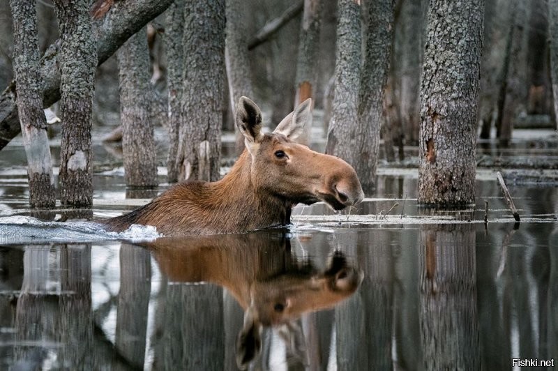 Ну так пойдет фото ..Но в этих фото НЕТ Души !! 
Вот эти меня цепляют реально за душу ..
Храни Бог Россию и  души наших детей и внуков  ..