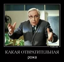 Двух демократок в США, выступавших за ограничение прав полиции, ограбили с разницей в несколько часов