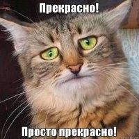 Прикольные картинки на выходные