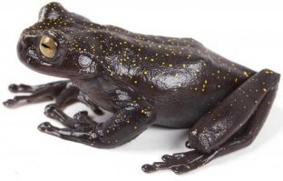 на пальцы Кузькиной матери посмотрите!