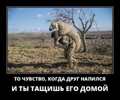 Это подруга или если не большее - жена