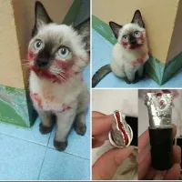 в чем испачкался?