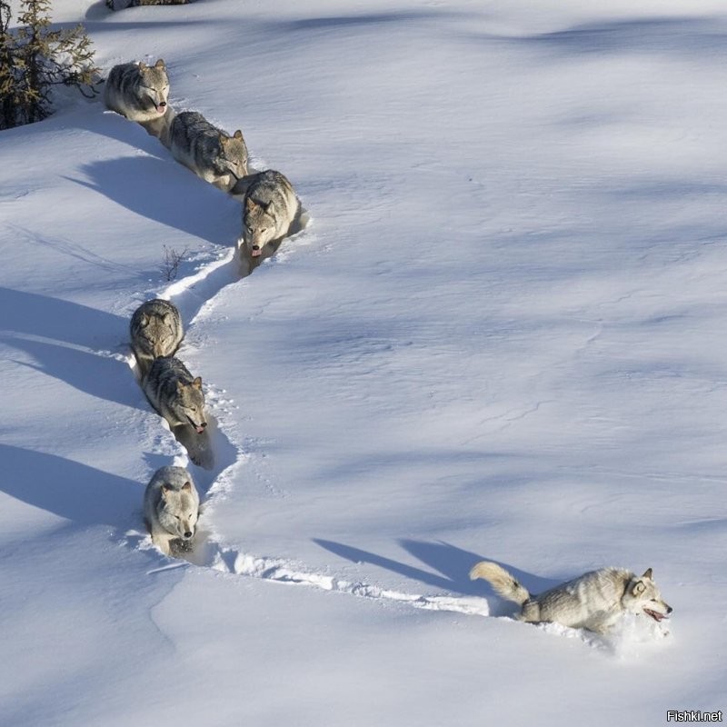 - Он нас догоняет, поднажмем!