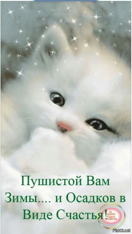 Солянка от 26.12.2021