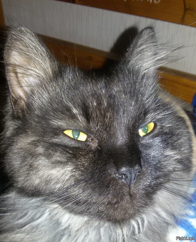 пятиоктавного вам: a-ha - Summer Moved On