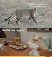 17 интересных снимков со всего мира
